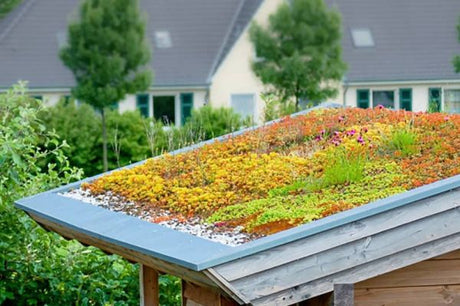 Dachbegrünung - Ein Gartenhaus mit natürlichem Charme
