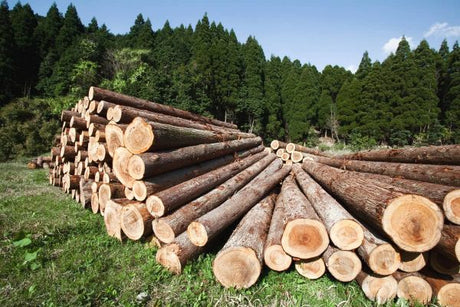Holzarten für Gartenhausbau